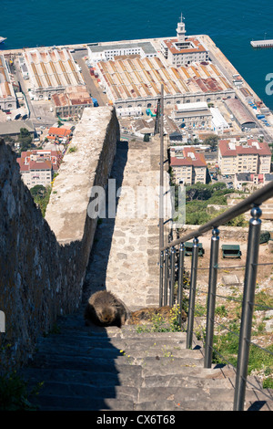 Scène urbaine et des mesures allant à la partie supérieure de le Rocher de Gibraltar. Banque D'Images