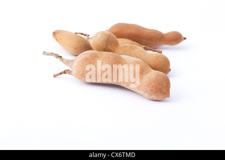 Close-up de tamarin (Tamarindus indica) pod fruits sur fond blanc Banque D'Images