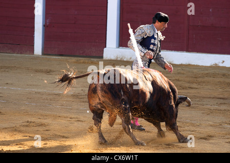 La tauromachie en Espagne. 21 juillet 2012, la Linea de la Concepcion, Espagne. Banque D'Images