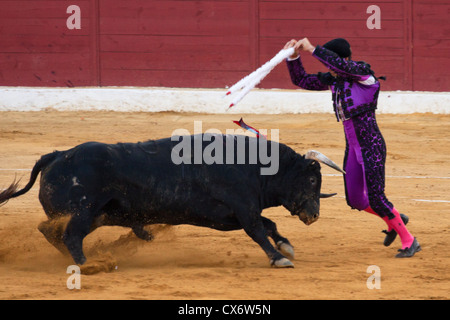 La tauromachie en Espagne. 21 juillet 2012, la Linea de la Concepcion, Espagne. Banque D'Images