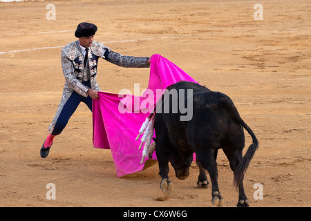 La tauromachie en Espagne. 21 juillet 2012, la Linea de la Concepcion, Espagne. Banque D'Images