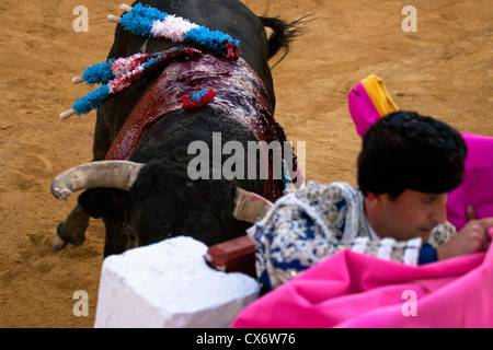 La tauromachie en Espagne. 21 juillet 2012, la Linea de la Concepcion, Espagne. Banque D'Images