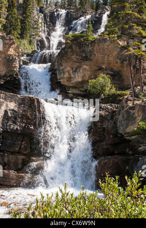 Photographe à Chutes Tangle en cascade, une cascade sur une série de marches en pierre calcaire, dans le Parc National de Jasper, Canada Banque D'Images