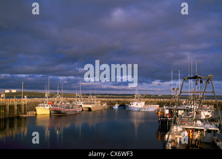 Overton, Nouvelle-Écosse, Canada - Bateaux de pêche commerciale à quai dans le port / port près de Yarmouth, Coucher du Soleil Banque D'Images