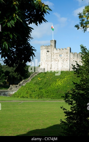 Donjon normand, le château de Cardiff, Cardiff, Glamorgan, Pays de Galles, Royaume-Uni. Banque D'Images