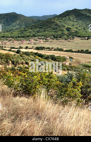 Paysage, Cugrugasheni, Géorgie Banque D'Images