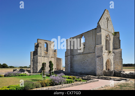 Ruines de l'abbaye cistercienne Notre-Dame-de-Ré / des Châteliers sur l'île Ile de Ré, Charente Maritime, France Banque D'Images