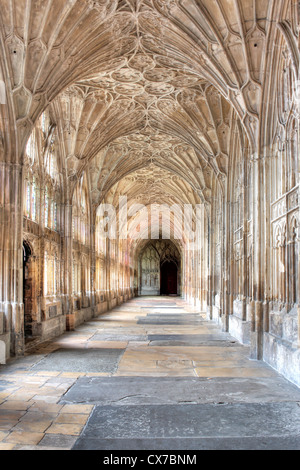 Les voûtes du ventilateur dans le cloître de la cathédrale de Gloucester, Gloucester, Gloucestershire, Royaume-Uni Banque D'Images