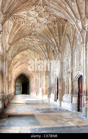 Les voûtes du ventilateur dans le cloître de la cathédrale de Gloucester, Gloucester, Gloucestershire, Royaume-Uni Banque D'Images