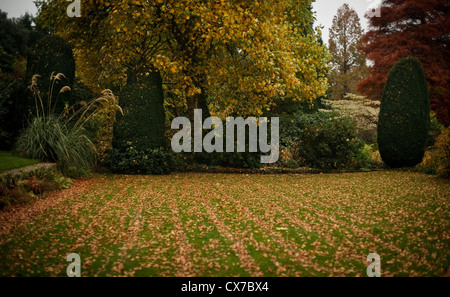 Scène d'automne le jardin avec des feuilles mortes Banque D'Images