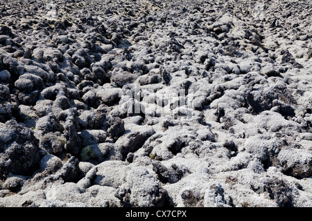 Le gouvernement Nisga'a Memorial Lava Bed Provincial Park, BC Canada Banque D'Images