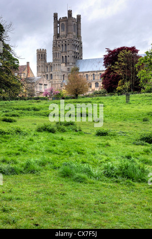 Tour ouest, Cathédrale d'Ely, Ely, Cambridgeshire, Angleterre, RU Banque D'Images