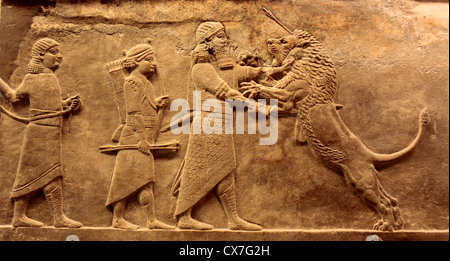 L'allégement de la chasse au lion sculpté (Assyrie, 645 avant J.-C.), British Museum, Londres, Royaume-Uni Banque D'Images