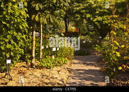 Les jardins botaniqes ou le jardin botanique de Tours, France. Banque D'Images