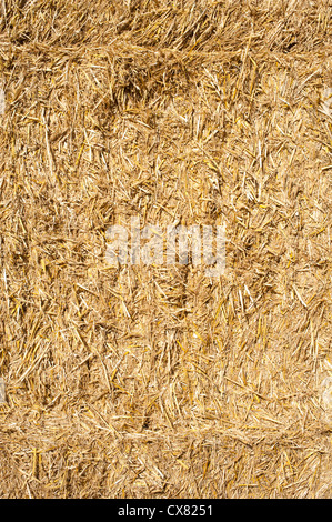 Pile de bottes de foin dans un champ Shropshire Banque D'Images