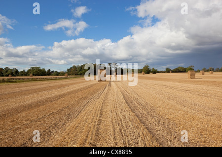 Un paysage agricole avec des bottes de paille empilées dans un champ de chaume d'or sous un ciel nuageux ciel bleu Banque D'Images