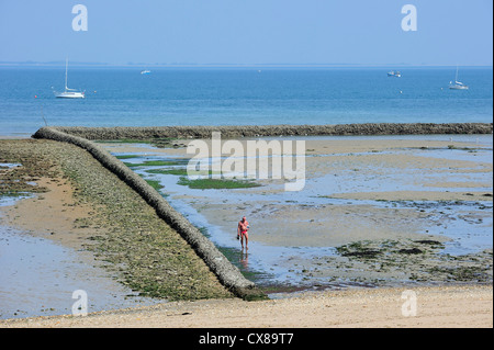 Ancienne cité médiévale de poisson / écluse, façon traditionnelle de piéger les poissons à marée basse sur l'île Ile de Ré, Charente Maritime, France Banque D'Images