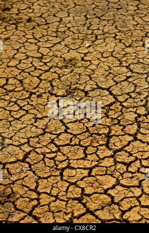 Droit de l'environnement. Les conditions de sécheresse montrant bien cuit de boue fissuré Banque D'Images