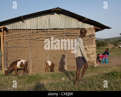 Jeune homme Masai et les chèvres dans le village de Losho à côté de la Réserve Naturelle de Masai Mara, Kenya Banque D'Images