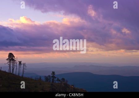 Vue d'en haut/bord de la Mogollon Rim/Plateau au lever du soleil dans le centre de l'Arizona. Banque D'Images