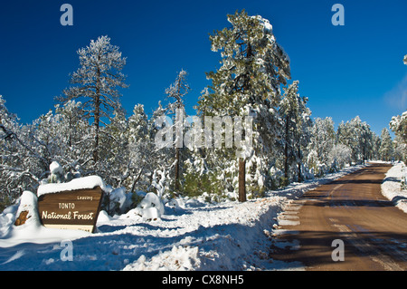 Le Mogollon Rim est une structure géologique et topographique en travers de l'état américain de l'Arizona. Il s'étend sur 200 milles. Banque D'Images