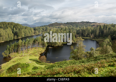 Vue sur Tarn Hows Lac de montagne dans le Lake District, England, UK Banque D'Images