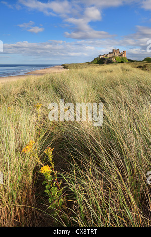 Fin d'après-midi au château de Bamburgh sur la côte de Northumberland. Banque D'Images