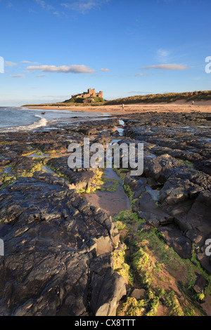 Fin d'après-midi au château de Bamburgh sur la côte de Northumberland. Banque D'Images