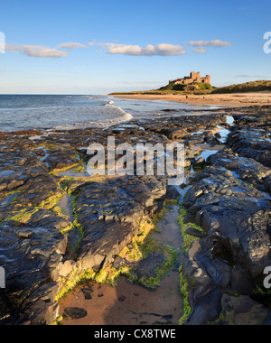 Fin d'après-midi au château de Bamburgh sur la côte de Northumberland. Banque D'Images