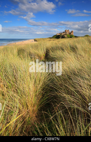 Fin d'après-midi au château de Bamburgh sur la côte de Northumberland. Banque D'Images