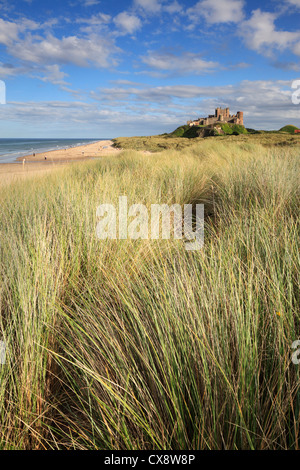 Fin d'après-midi au château de Bamburgh sur la côte de Northumberland. Banque D'Images