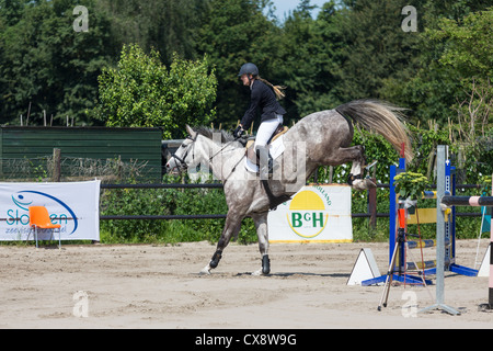 Jockey à cheval en action lors d'un concours de sauts Banque D'Images