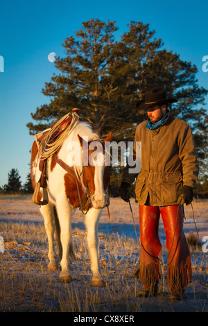 Cowboy sur son cheval dans un ranch dans le nord-est du Wyoming Banque D'Images