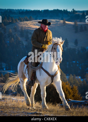 Cowboy sur son cheval dans un ranch dans le nord-est du Wyoming Banque D'Images