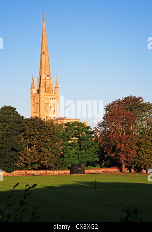 Vue de la flèche de la cathédrale de l'Étroite à Norwich, Norfolk, Angleterre, Royaume-Uni. Banque D'Images