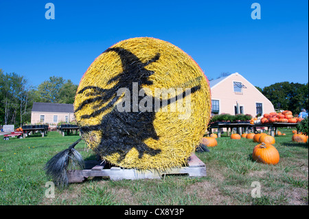 Hay bale décoré avec l'image d'une sorcière pour Halloween. Banque D'Images