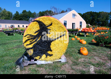 Hay bale décoré avec l'image d'une sorcière pour Halloween. Banque D'Images