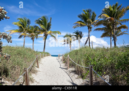 Sentier de la plage de sable, South Beach, Miami Beach, Floride, USA. Banque D'Images