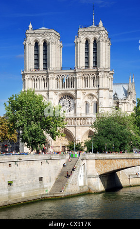 La cathédrale "Notre Dame de Paris' sur l'île de Cité à Paris, France. Banque D'Images