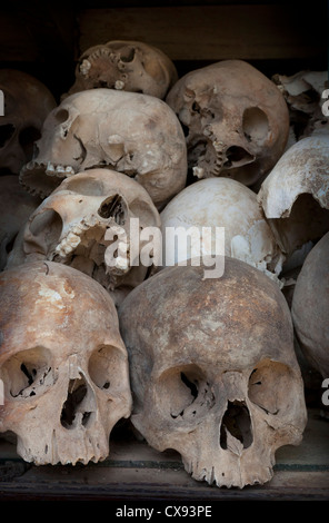 Les restes humains, shulls à Choeung Ek centre génocidaire, au sud de Phnom Penh, Cambodge. Banque D'Images