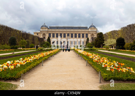 Vue vers la Grande Galerie de l'évolution au Jardin des Plantes, Paris, France Banque D'Images