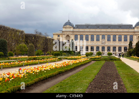 Vue vers la Grande Galerie de l'évolution au Jardin des Plantes, Paris, France Banque D'Images