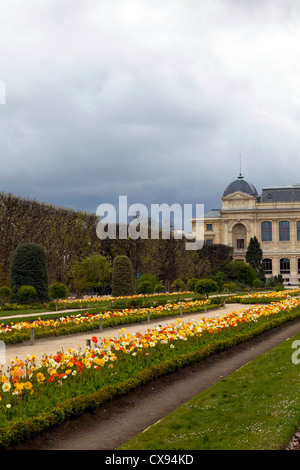 Vue vers la Grande Galerie de l'évolution au Jardin des Plantes, Paris, France Banque D'Images