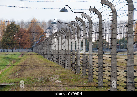 Des barbelés à Auschwitz II-Birkenau le 28 octobre 2007 à Oswiecim, Pologne Banque D'Images