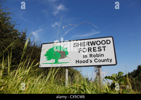 La Forêt de Sherwood, Nottinghamshire, Angleterre, Royaume-Uni Banque D'Images