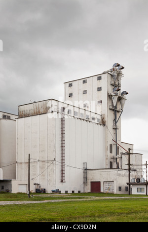 Silo de riz et l'élévateur à grain à l'ancienne. Riviana riz sécheur dans Crowley, en Louisiane Banque D'Images