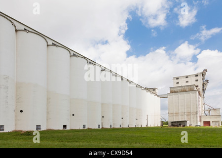 L'ancien. Riviana riz sécheur et l'élévateur à grain dans Crowley, en Louisiane Banque D'Images