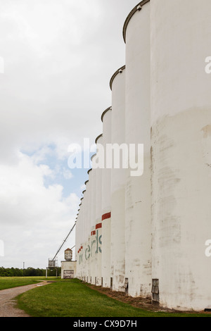 Vieux silos riz à l'ancienne. Riviana riz sécheur dans Crowley, en Louisiane Banque D'Images