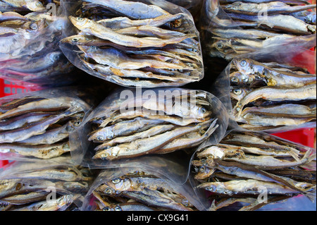 Sacs de sardines séchées à vendre à Chinatown, Vancouver, British Columbia, Canada Banque D'Images