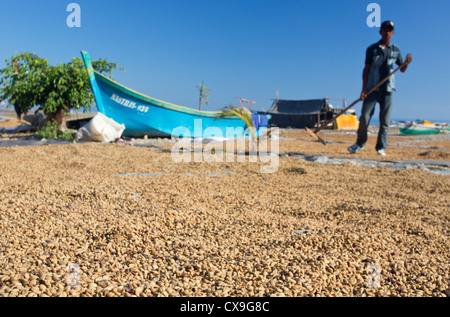 Homme de sécher les grains de café sur une plage, à Dili, au Timor oriental Banque D'Images